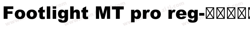 Footlight MT pro reg字体转换